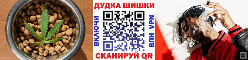 купить наркотики цена  Александровское  Cannafood конопля 