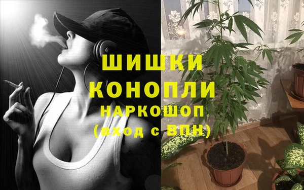 прущие крисы Киренск