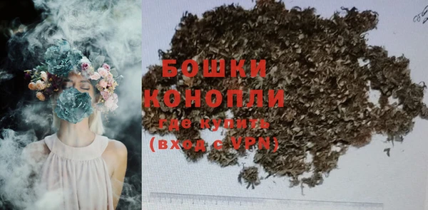 PSILOCYBIN Елабуга