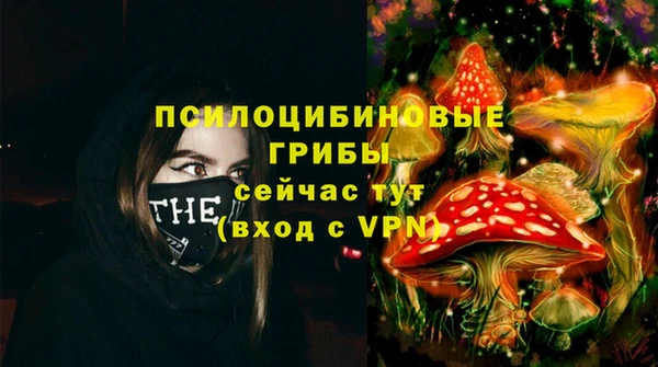 бошки Алексин