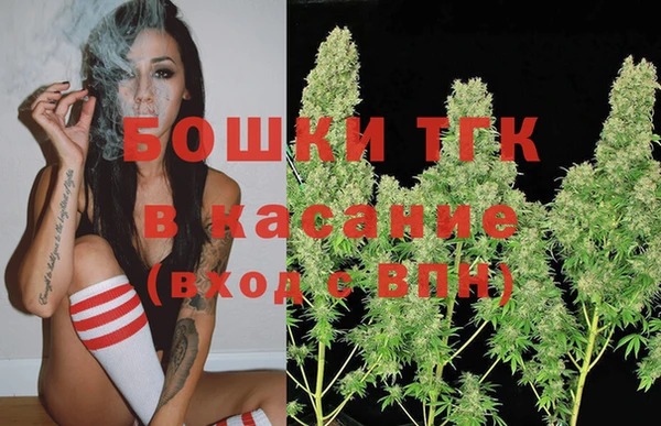 хмурый Карпинск