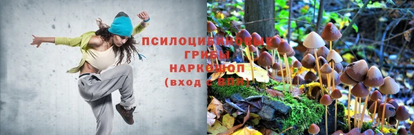 крисы Алексеевка