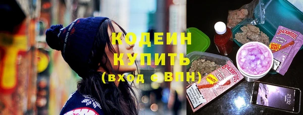 прущий лед Алзамай