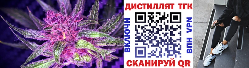 ТГК концентрат  где купить   Александровское 
