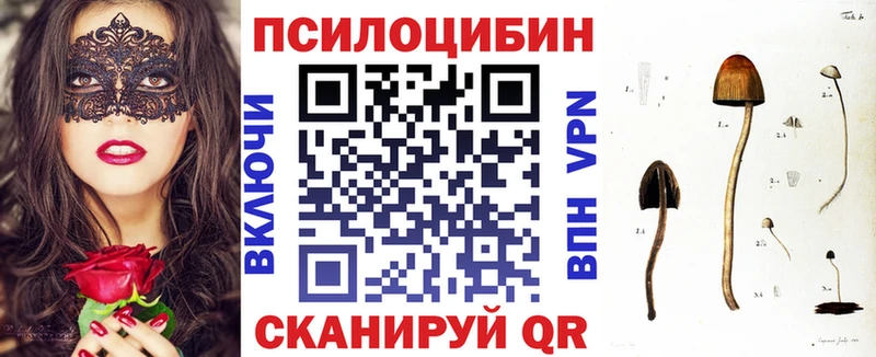 ОМГ ОМГ как войти  закладки  Александровское  Псилоцибиновые грибы ЛСД 